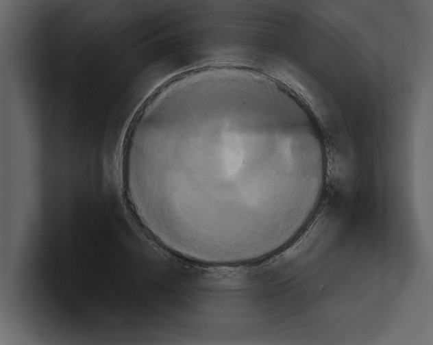 X0000100920836200807151220