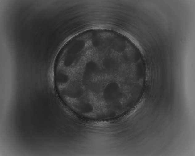 X0000100920837200807151220