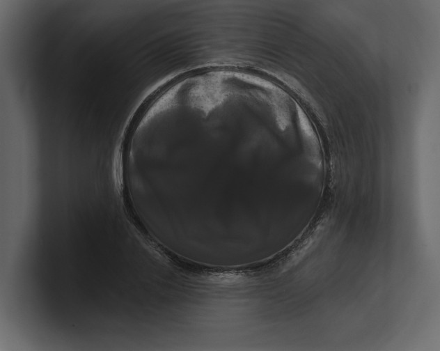 X0000100920838200807151220