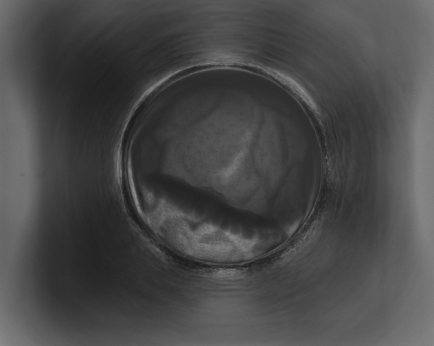 X0000100920839200807151220