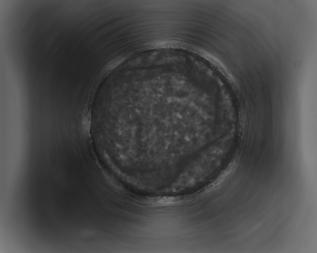 X0000100920841200807151220