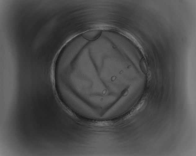 X0000100920843200807151220