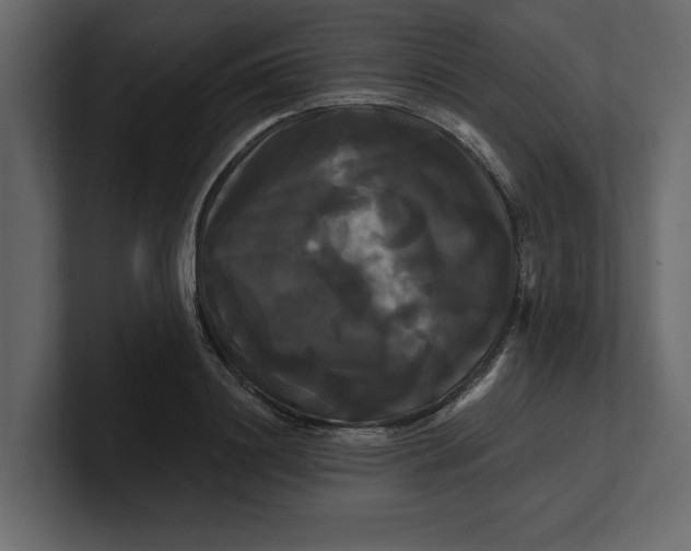 X0000100920844200807151220