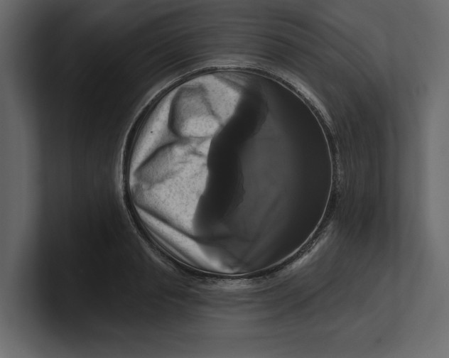 X0000100920845200807151220