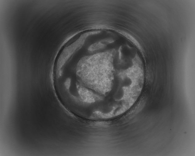 X0000100920847200807151220