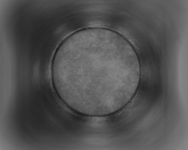 X0000100920848200807151220