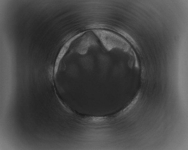 X0000100920849200807151220