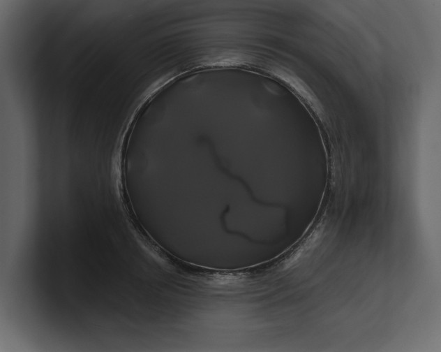 X0000100920850200807151220