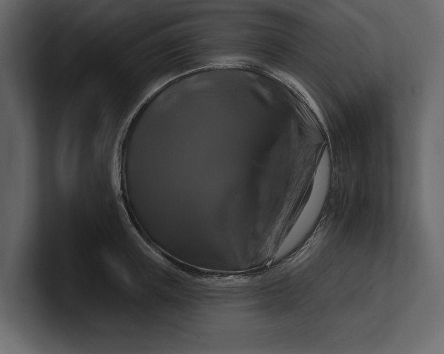 X0000100920851200807151220