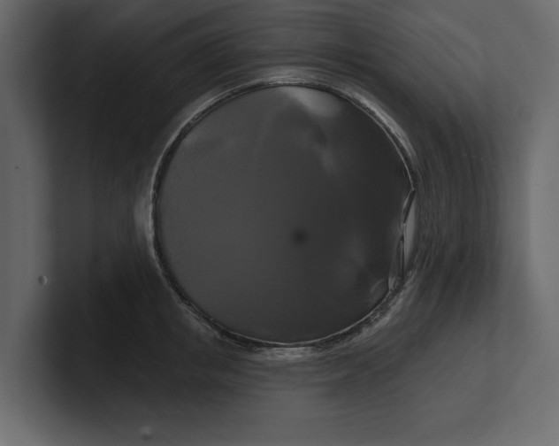 X0000100920853200807151220