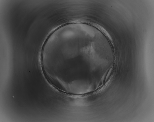 X0000100920855200807151220