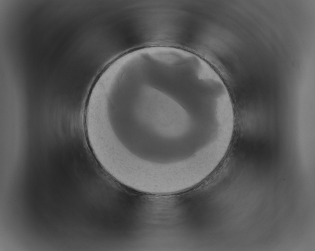 X0000100920856200807151220