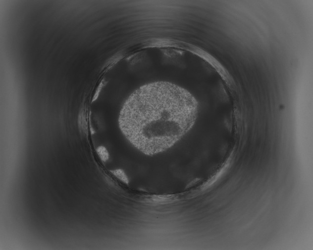 X0000100920857200807151220