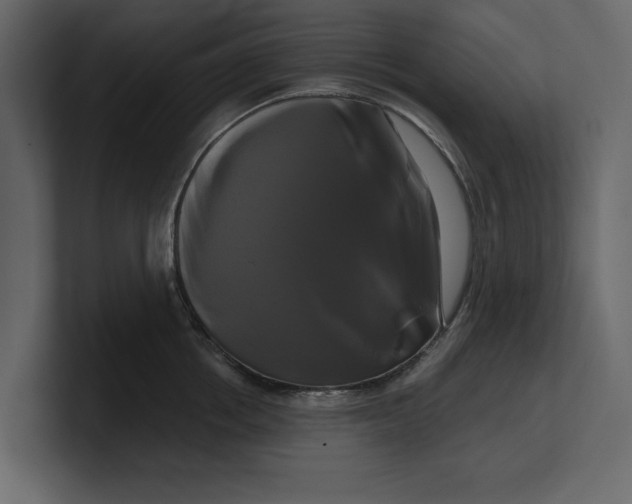 X0000100920858200807151220