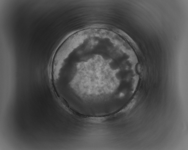 X0000100920860200807151220