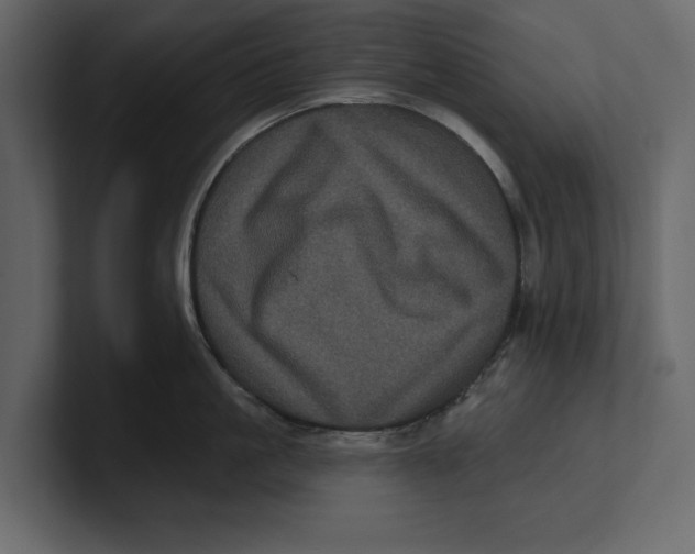 X0000100920861200807151220