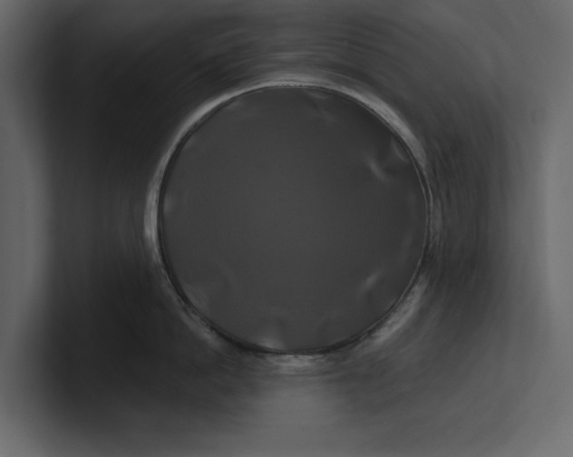 X0000100920862200807151220