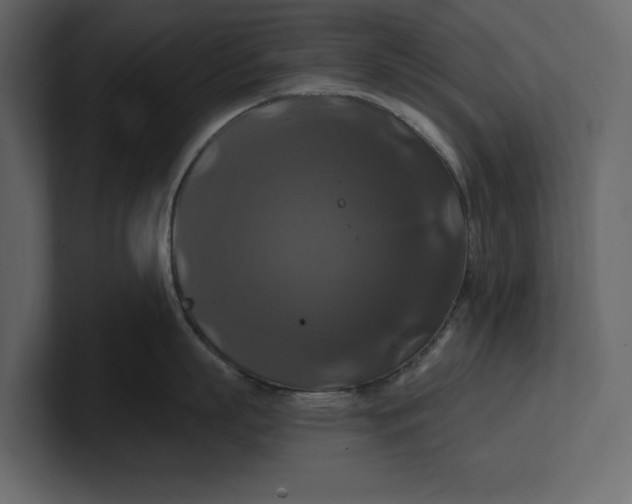 X0000100920863200807151220