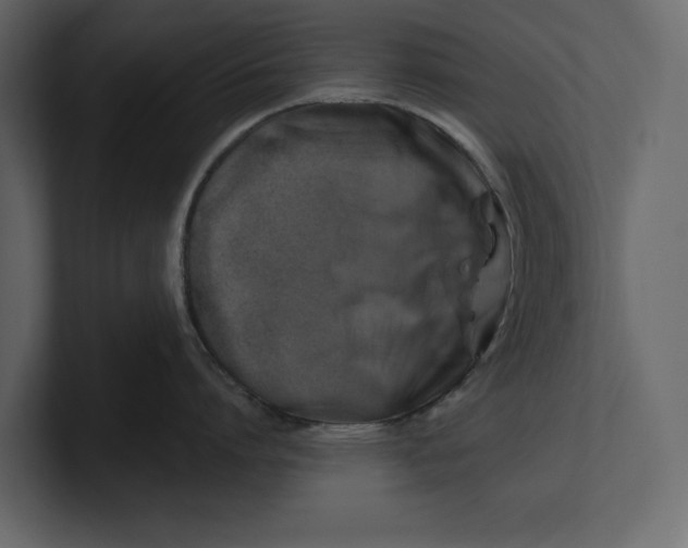 X0000100920864200807151221