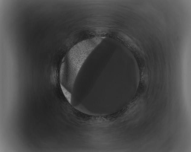 X0000100920866200807151220