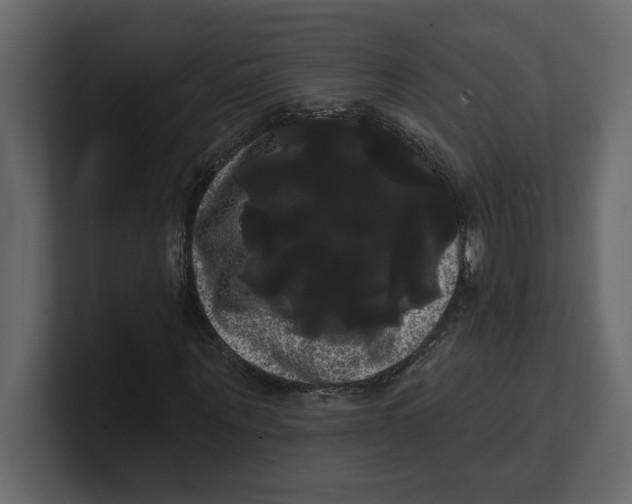 X0000100920867200807151220