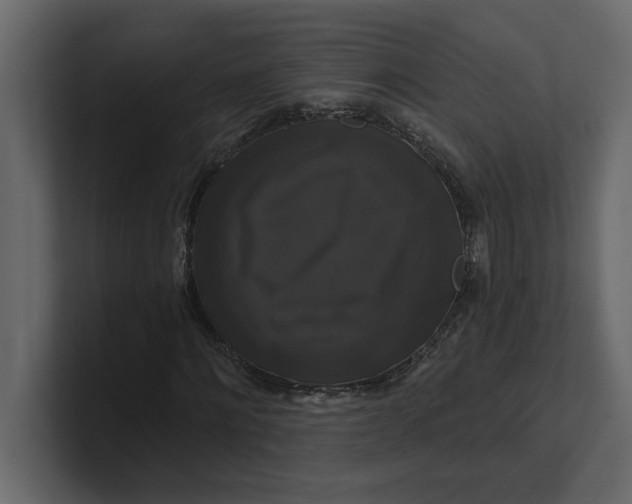 X0000100920868200807151220