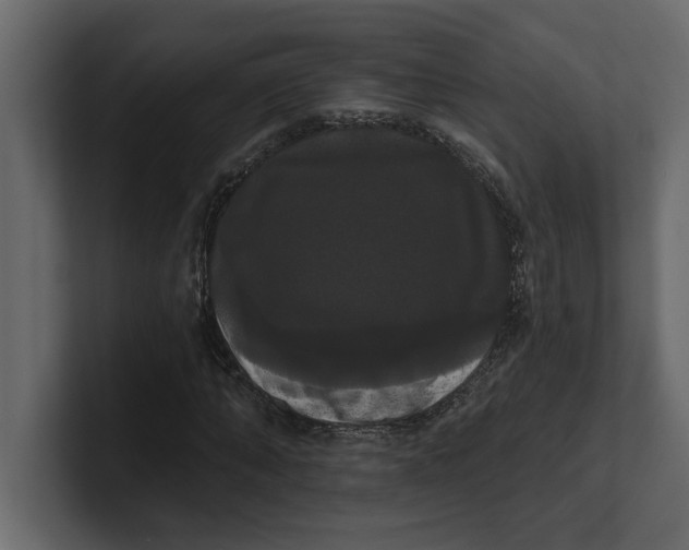 X0000100920870200807151220