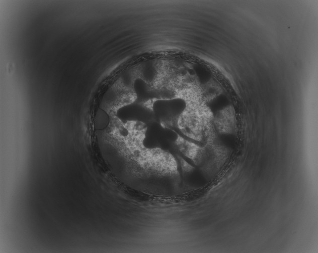 X0000100920871200807151220