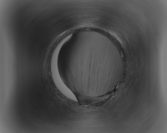 X0000100920872200807151220