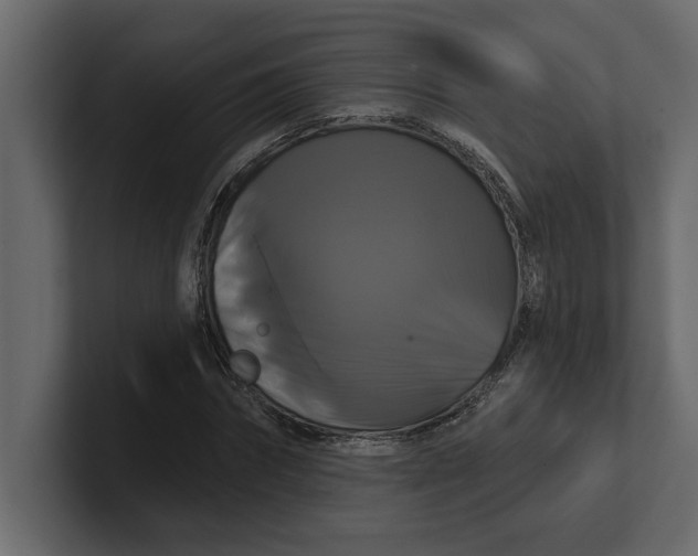 X0000100920874200807151220