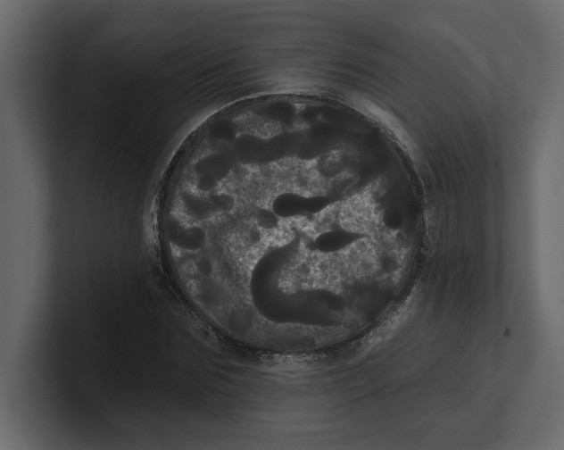 X0000100920875200807151220