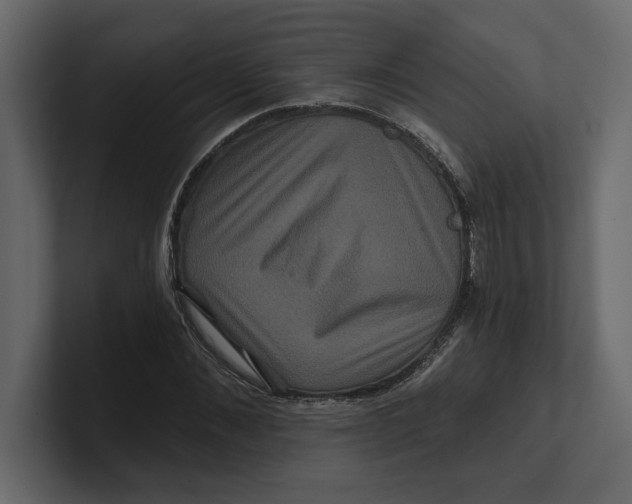 X0000100920876200807151220