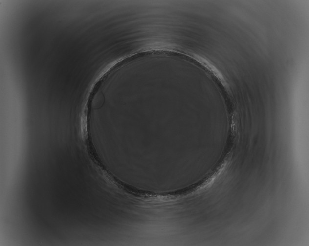 X0000100920877200807151220