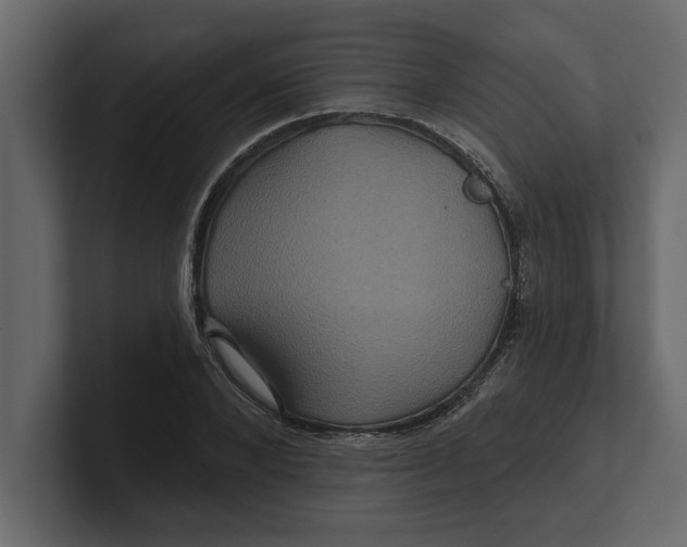 X0000100920880200807151220