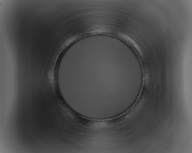 X0000100920882200807151220