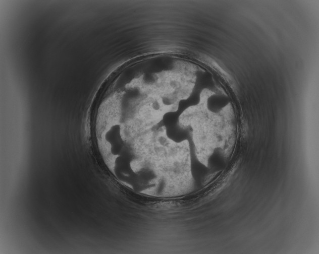 X0000100920883200807151220