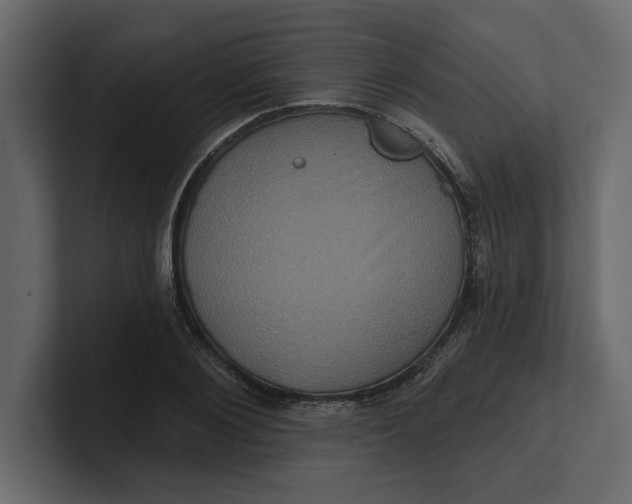 X0000100920884200807151220