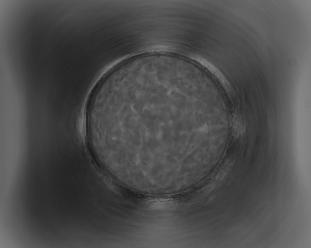 X0000100920886200807151219