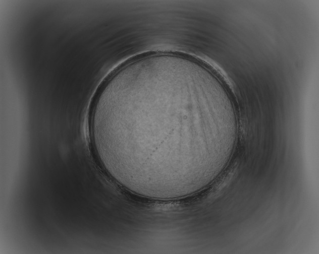 X0000100920887200807151219