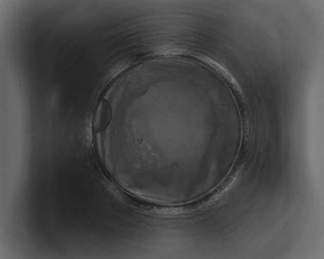 X0000100920889200807151219