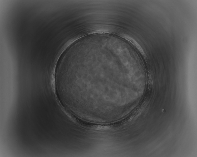 X0000100920890200807151219