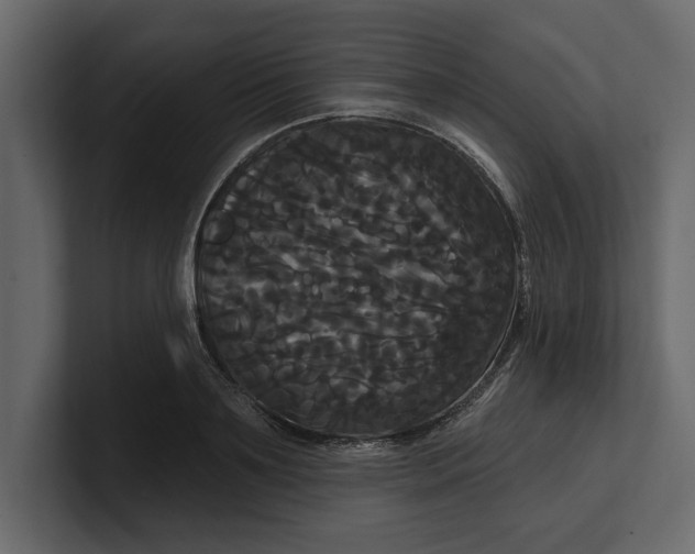 X0000100920891200807151219