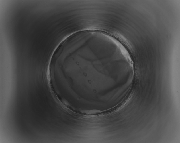 X0000100920892200807151219