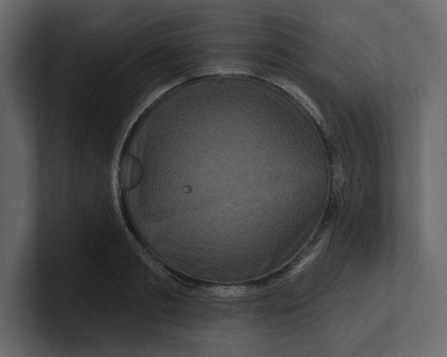 X0000100920893200807151219