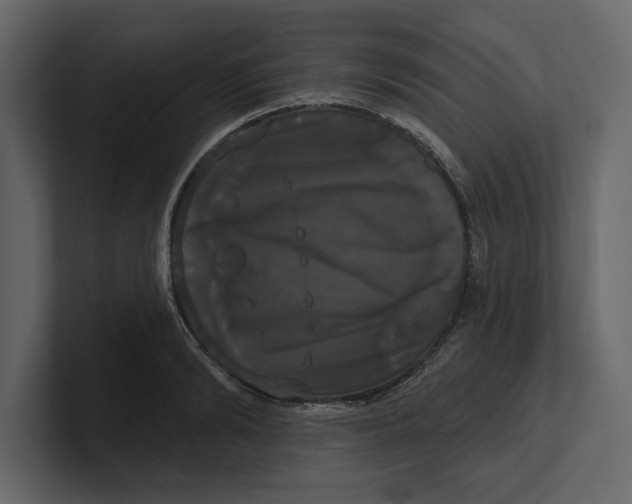 X0000100920894200807151219