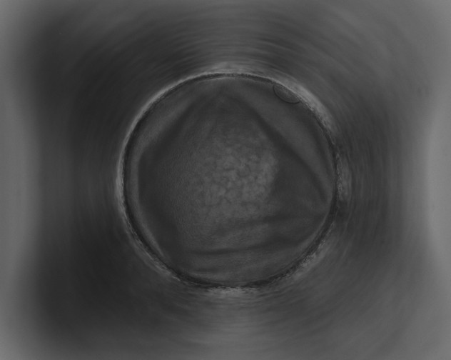 X0000100920896200807151219