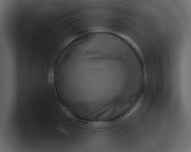 X0000100920897200807151219