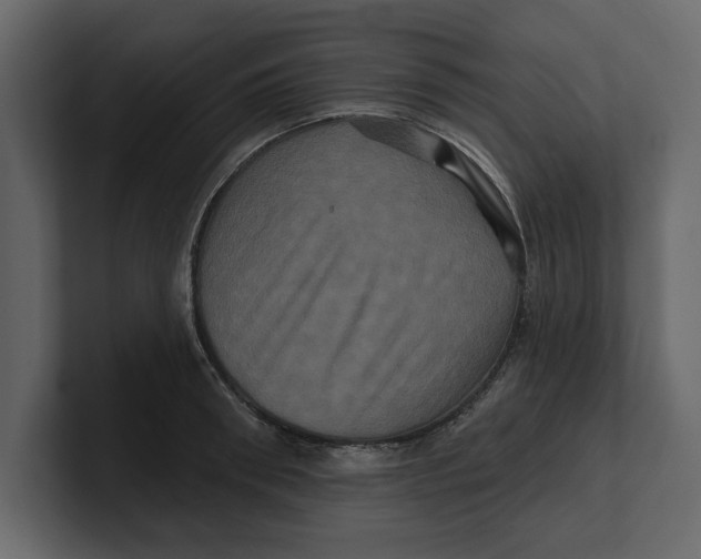 X0000100920898200807151219