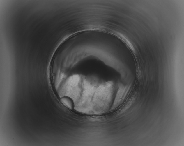 X0000100920899200807151219