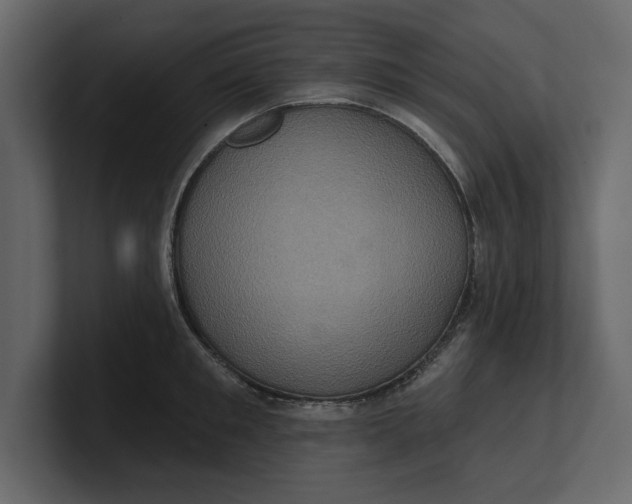 X0000100920901200807151219